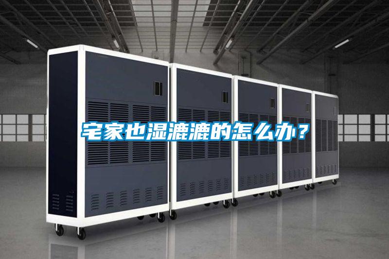 宅家也濕漉漉的怎么辦？