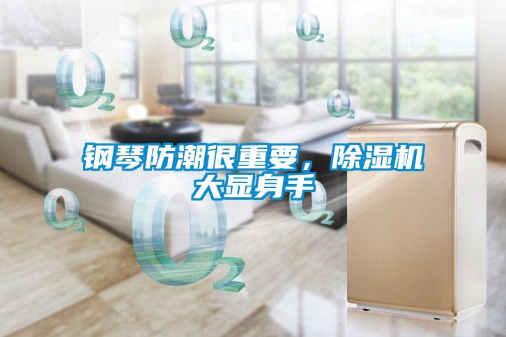 鋼琴防潮很重要，除濕機大顯身手