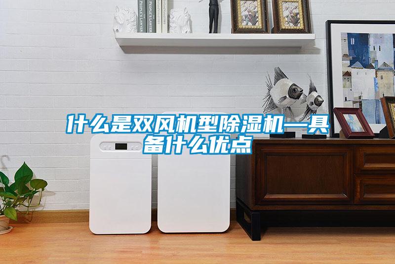 什么是雙風機型除濕機—具備什么優點