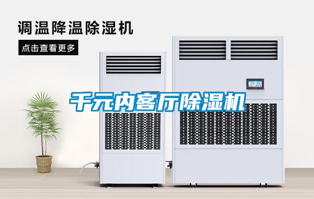 千元內客廳除濕機