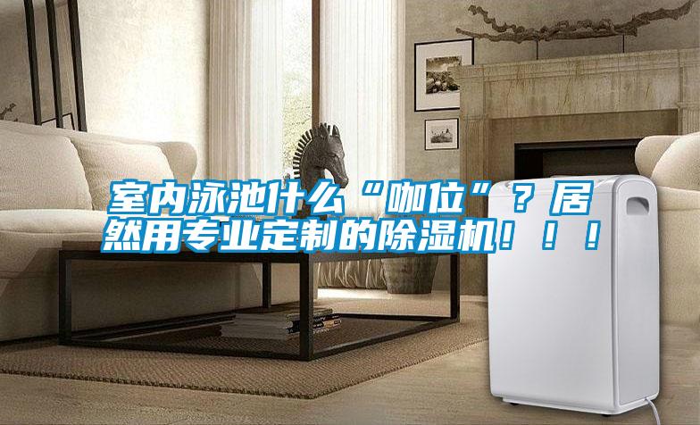 室內(nèi)泳池什么“咖位”？居然用專業(yè)定制的除濕機！！！