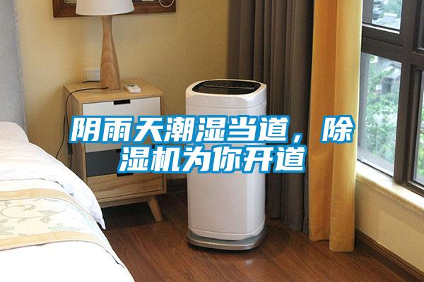 陰雨天潮濕當?shù)?，除濕機為你開道