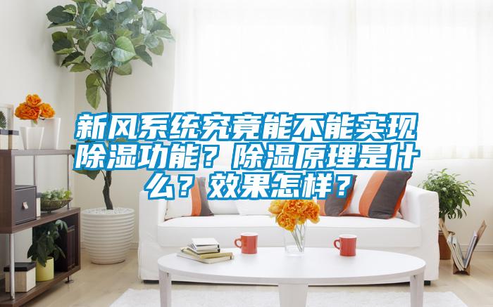 新風系統(tǒng)究竟能不能實現除濕功能？除濕原理是什么？效果怎樣？