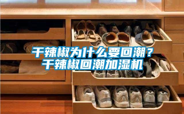 干辣椒為什么要回潮？干辣椒回潮加濕機(jī)
