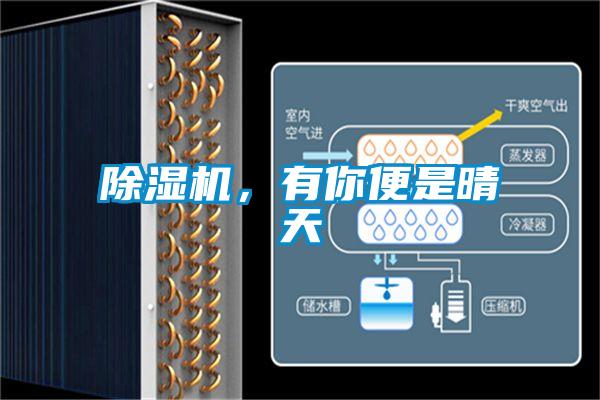 除濕機(jī)，有你便是晴天