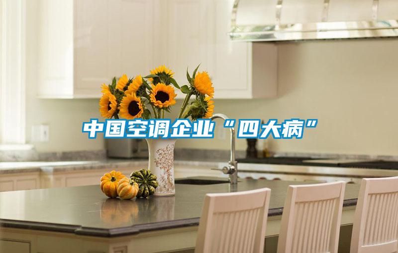 中國空調企業“四大病”