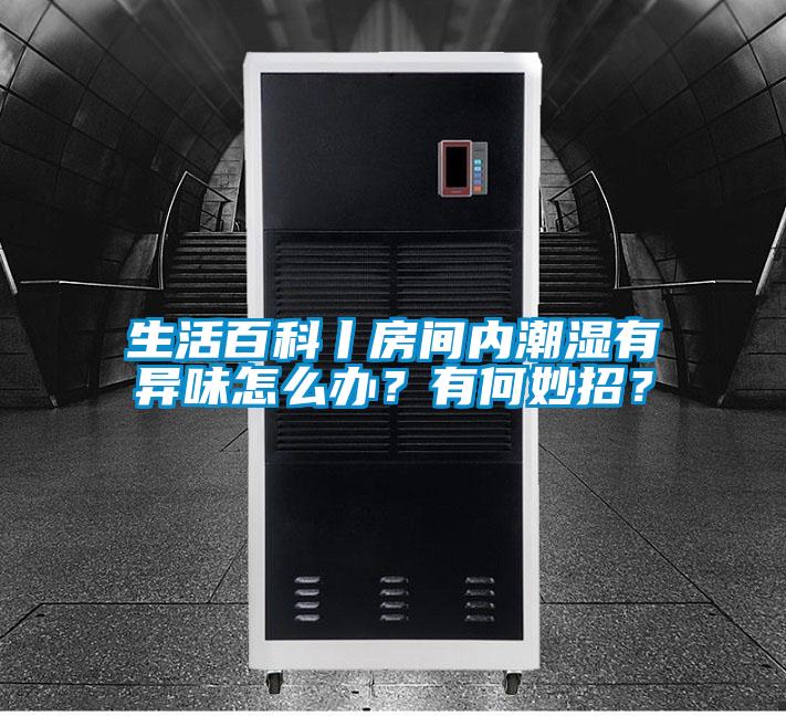 生活百科丨房間內潮濕有異味怎么辦？有何妙招？
