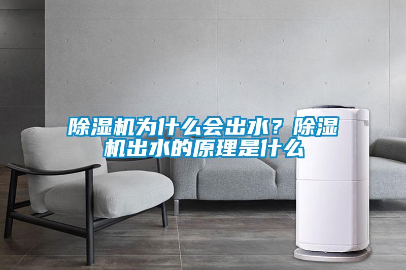除濕機(jī)為什么會(huì)出水？除濕機(jī)出水的原理是什么