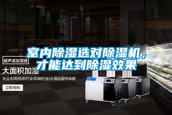 室內(nèi)除濕選對除濕機，才能達到除濕效果