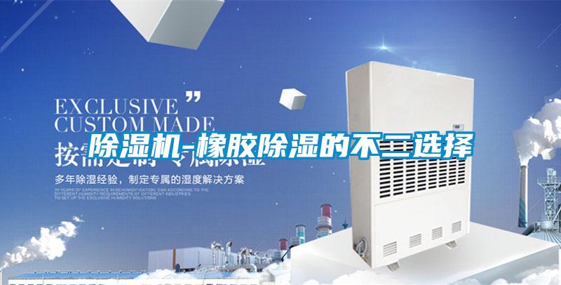 除濕機-橡膠除濕的不二選擇