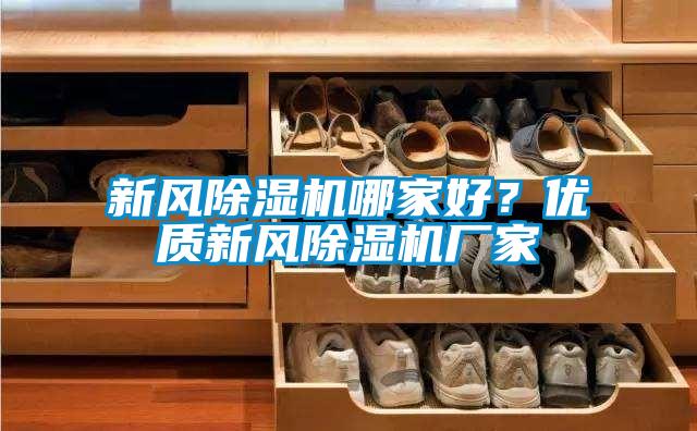 新風(fēng)除濕機(jī)哪家好？優(yōu)質(zhì)新風(fēng)除濕機(jī)廠家