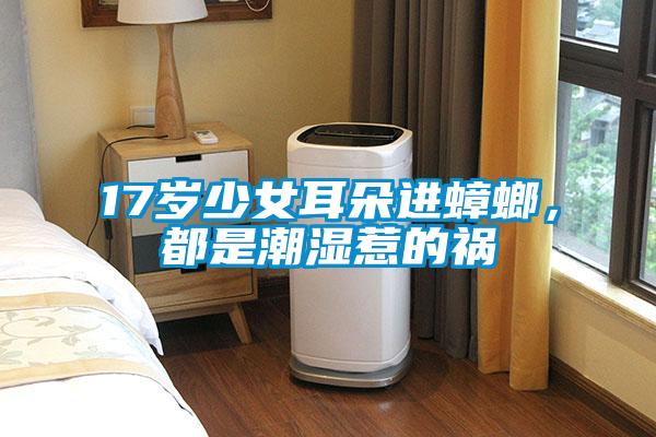 17歲少女耳朵進蟑螂，都是潮濕惹的禍