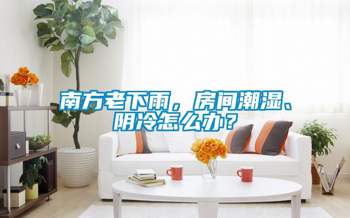 南方老下雨，房間潮濕、陰冷怎么辦？
