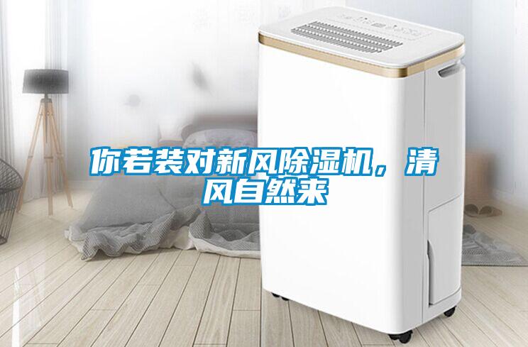 你若裝對新風除濕機，清風自然來