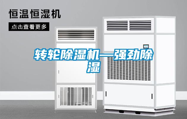 轉輪除濕機—強勁除濕