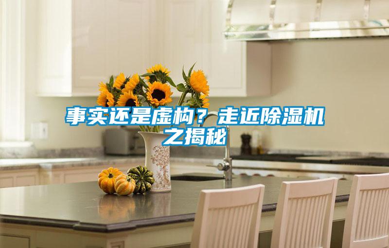 事實還是虛構？走近除濕機之揭秘