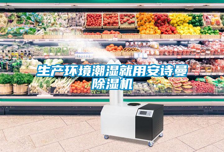 生產環境潮濕就用安詩曼除濕機