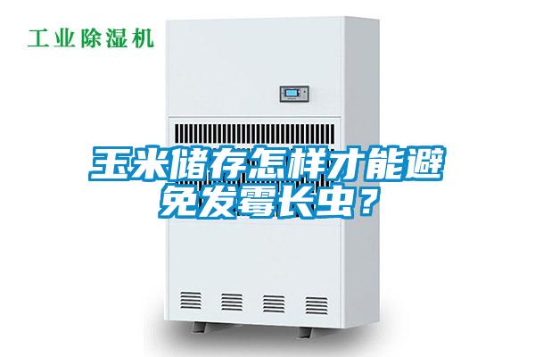 玉米儲存怎樣才能避免發(fā)霉長蟲？
