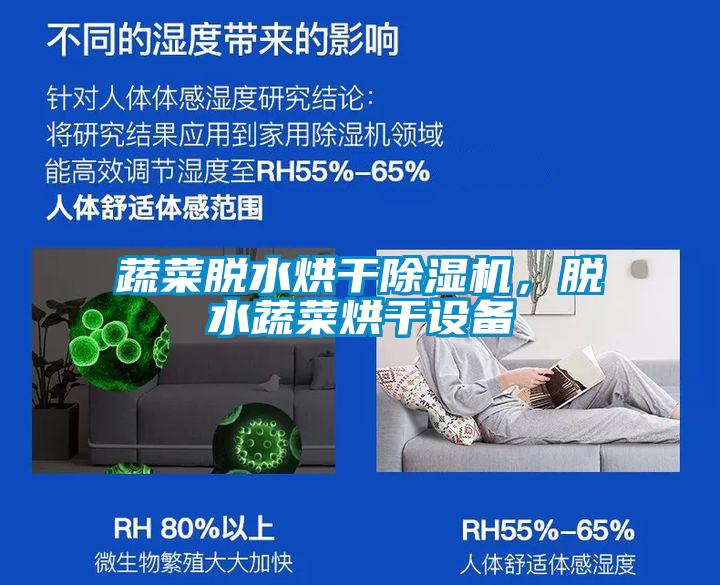 蔬菜脫水烘干除濕機，脫水蔬菜烘干設備