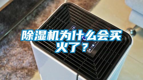 除濕機為什么會買火了？