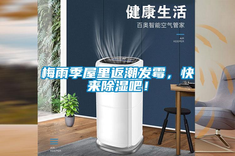 梅雨季屋里返潮發霉，快來除濕吧！