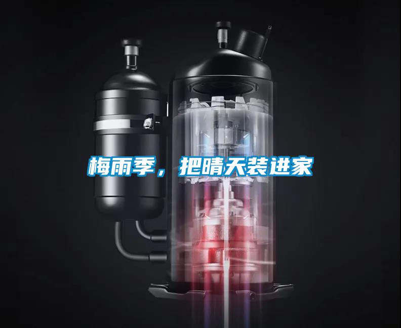 梅雨季，把晴天裝進家