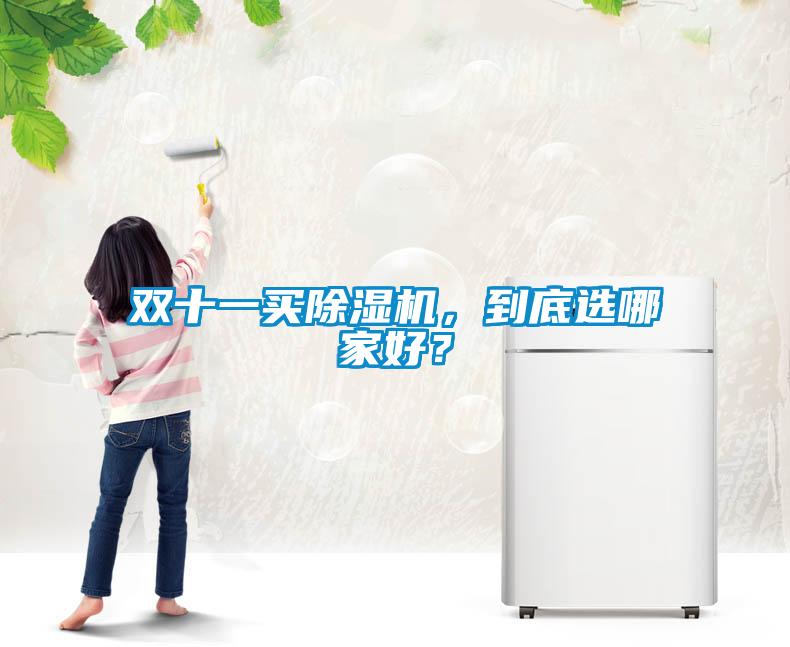 雙十一買除濕機，到底選哪家好？
