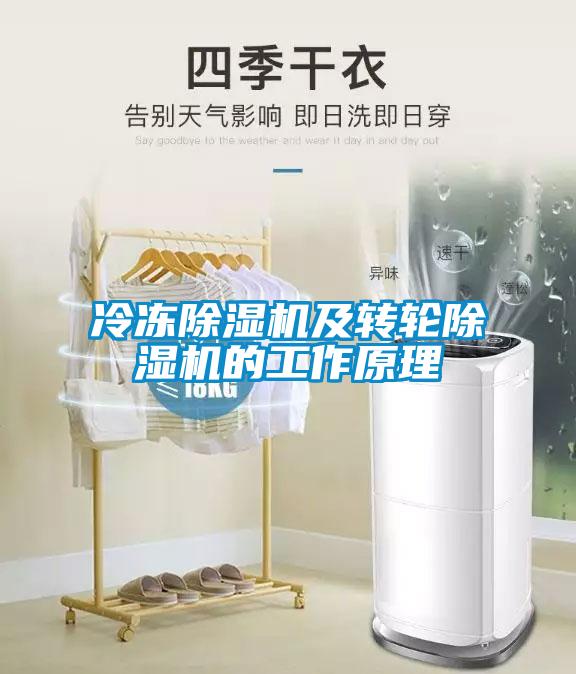 冷凍除濕機及轉輪除濕機的工作原理