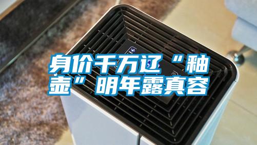 身價(jià)千萬遼“釉壺”明年露真容
