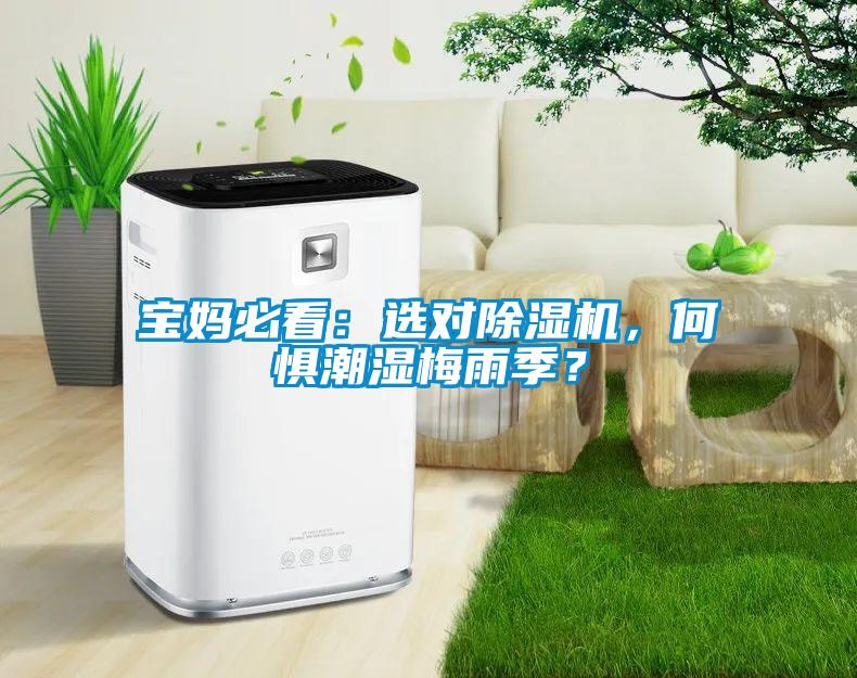 寶媽必看：選對(duì)除濕機(jī)，何懼潮濕梅雨季？