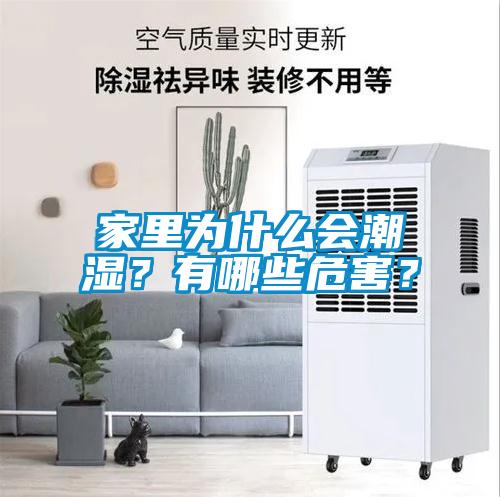 家里為什么會潮濕？有哪些危害？