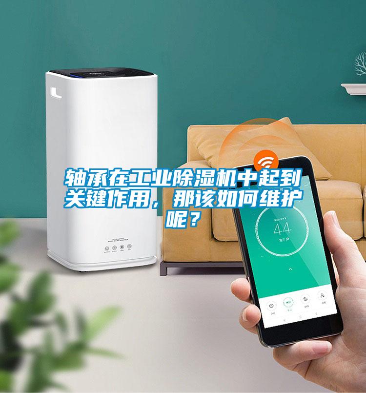 軸承在工業(yè)除濕機(jī)中起到關(guān)鍵作用，那該如何維護(hù)呢？