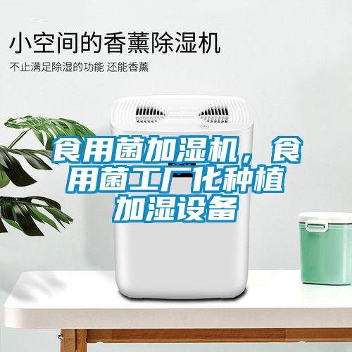 食用菌加濕機，食用菌工廠化種植加濕設備