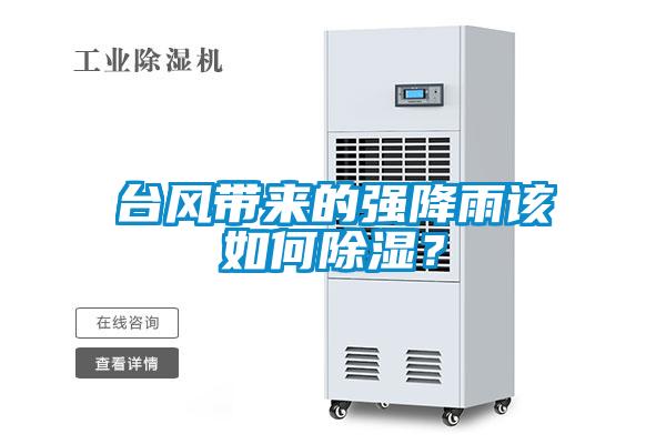 臺風帶來的強降雨該如何除濕？