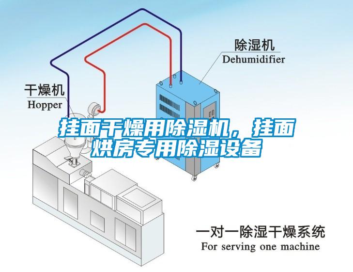 掛面干燥用除濕機，掛面烘房專用除濕設備