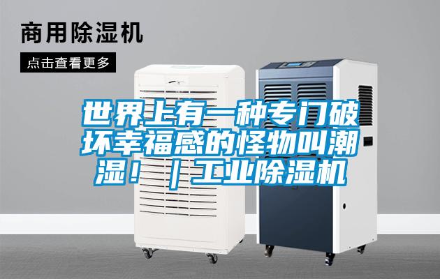 世界上有一種專門破壞幸福感的怪物叫潮濕?。I除濕機