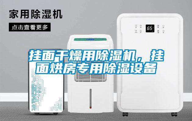 掛面干燥用除濕機，掛面烘房專用除濕設備