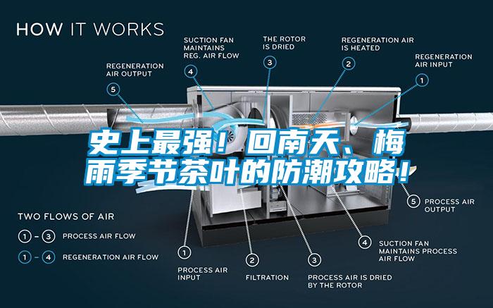 史上最強(qiáng)！回南天、梅雨季節(jié)茶葉的防潮攻略！