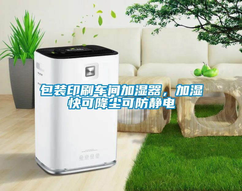 包裝印刷車間加濕器，加濕快可降塵可防靜電