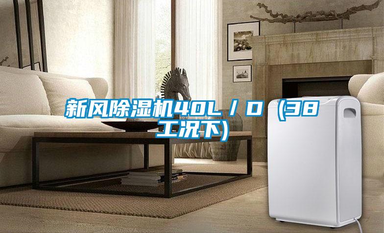 新風除濕機40L／D (38工況下)