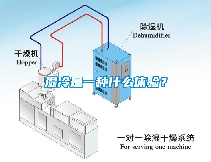 濕冷是一種什么體驗？