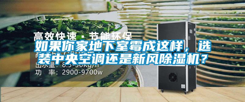 如果你家地下室霉成這樣，選裝中央空調(diào)還是新風(fēng)除濕機？