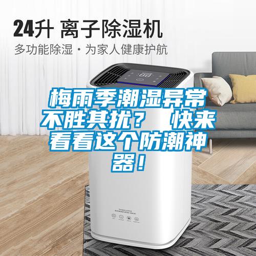 梅雨季潮濕異常不勝其擾？ 快來看看這個防潮神器！