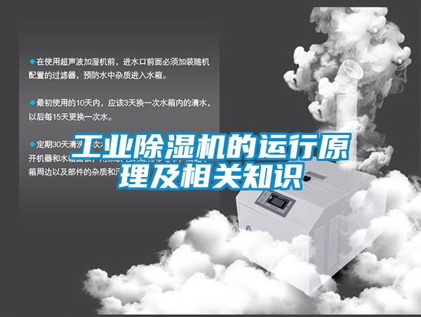 工業(yè)除濕機的運行原理及相關知識