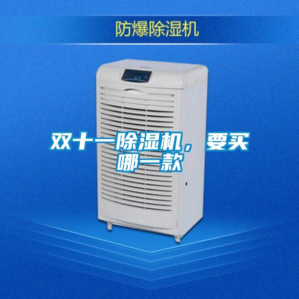 雙十一除濕機，要買哪一款
