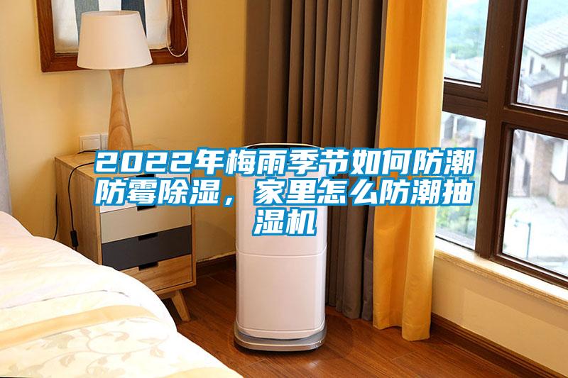 2022年梅雨季節(jié)如何防潮防霉除濕，家里怎么防潮抽濕機(jī)