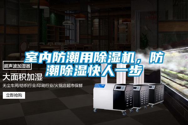 室內防潮用除濕機，防潮除濕快人一步