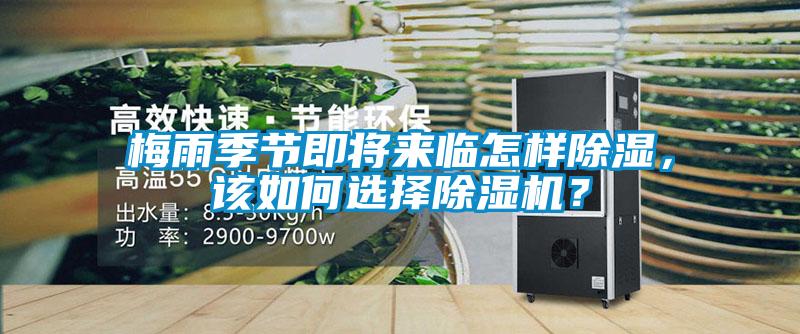 梅雨季節即將來臨怎樣除濕，該如何選擇除濕機？