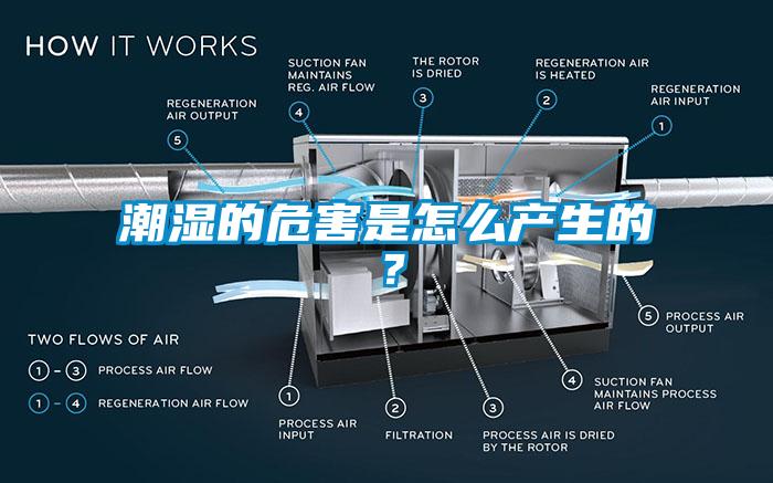 潮濕的危害是怎么產生的？