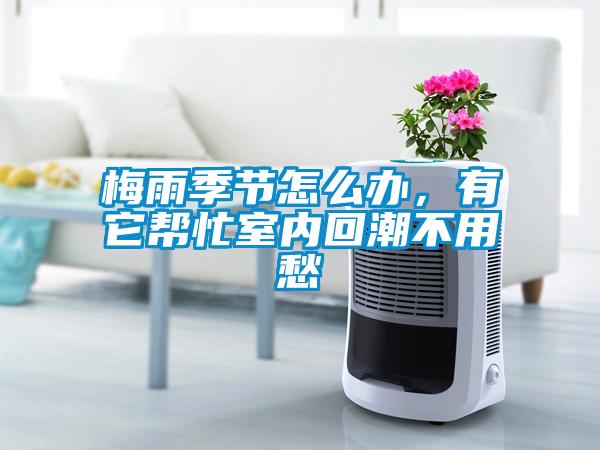 梅雨季節(jié)怎么辦，有它幫忙室內(nèi)回潮不用愁